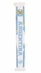 Argentina 2026 Scarf