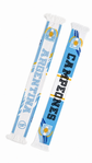 Argentina 2026 Scarf