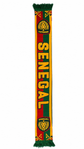 Senegal 2026 Scarf