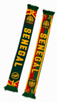 Senegal 2026 Scarf