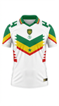 Senegal Jersey